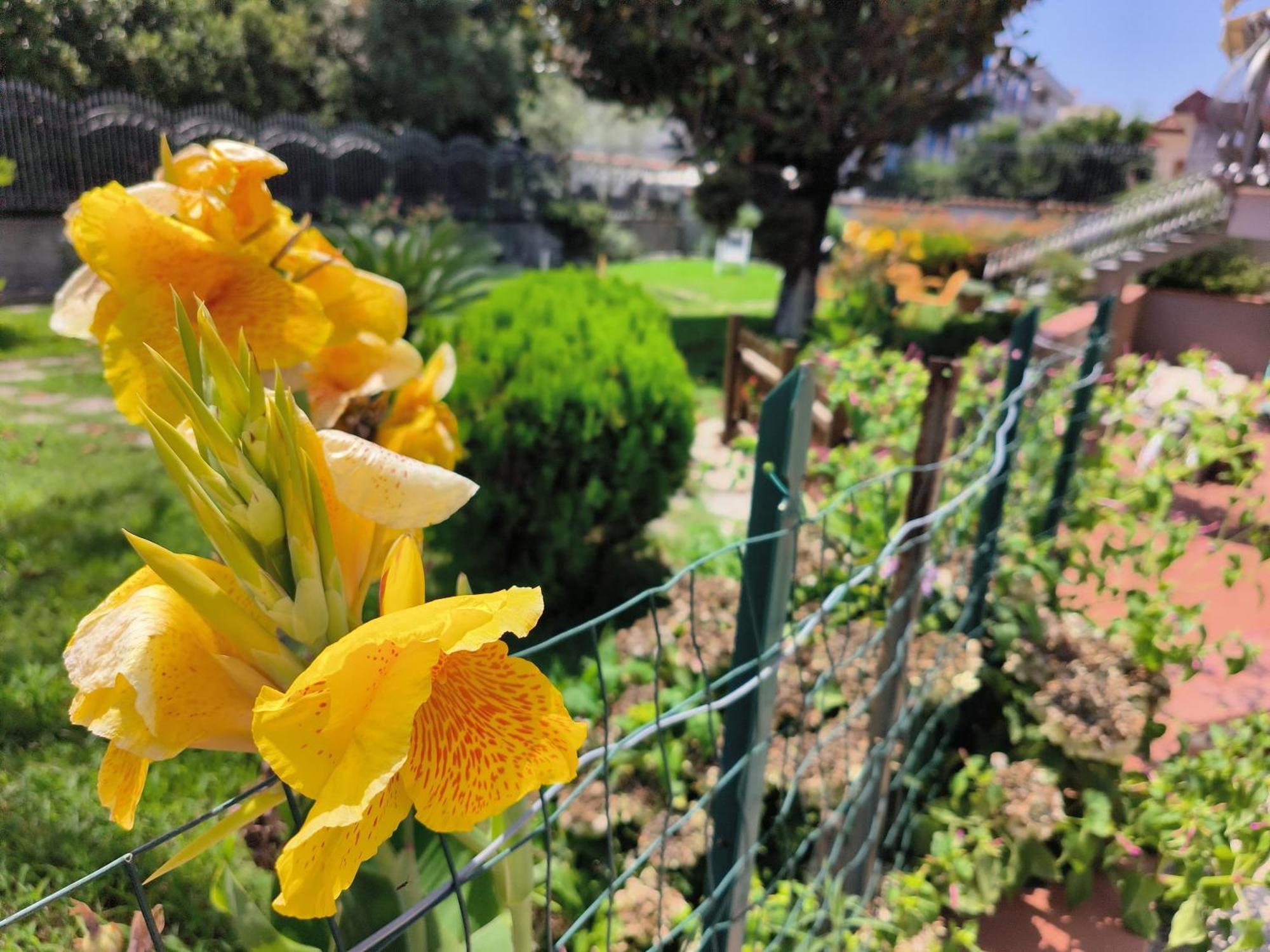 博斯科雷亚莱I Giardini Di Plinio - Elegante E Luminoso.公寓 外观 照片